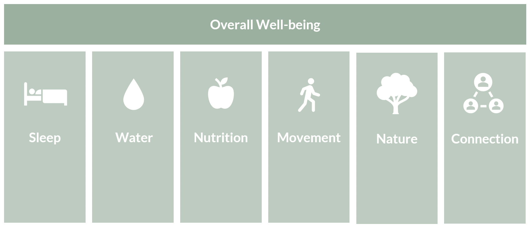 Six self-care pillars, sleep, water, nutrition, movement, nature, connection, overall well-being