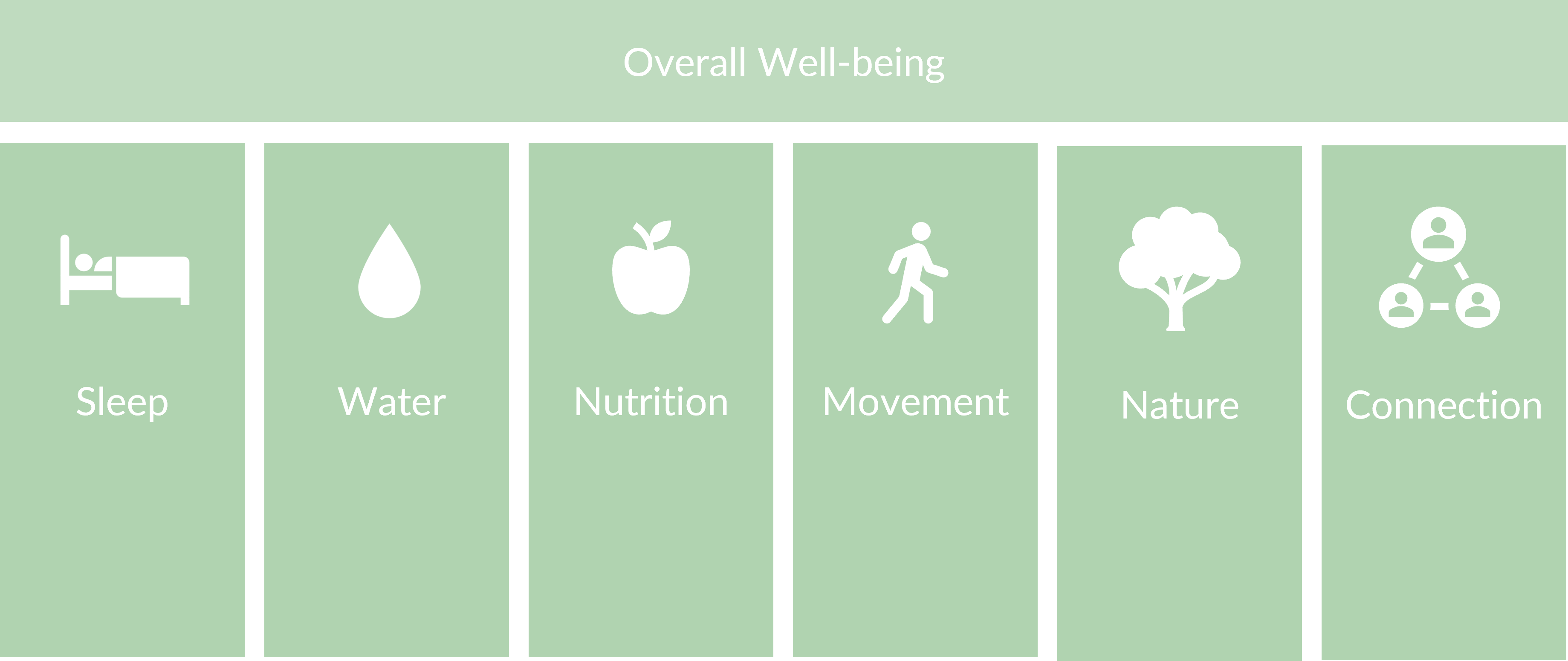 Six Self-Care Pillars: Sleep, Water, Nutrition, Movement, Nature and Connection